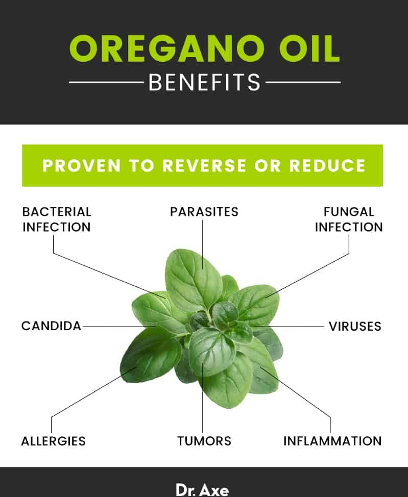 Oregano Oil Graphic